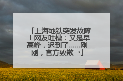 上海地铁突发故障！网友吐槽：又是早高峰，迟到了……刚刚，官方致歉→